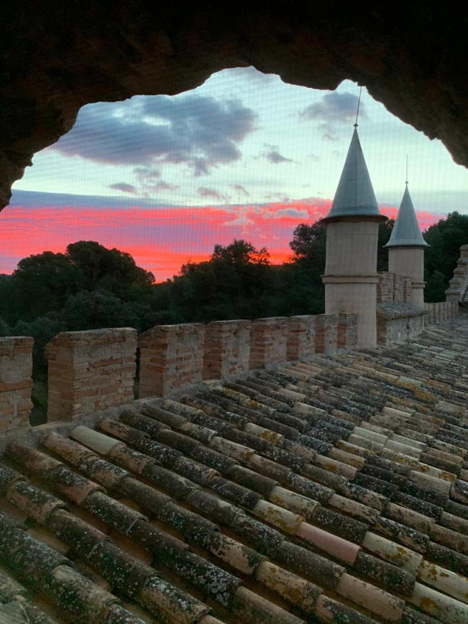 Castillo Con Piscina En Plena Sierra Calderona 塞古比 外观 照片