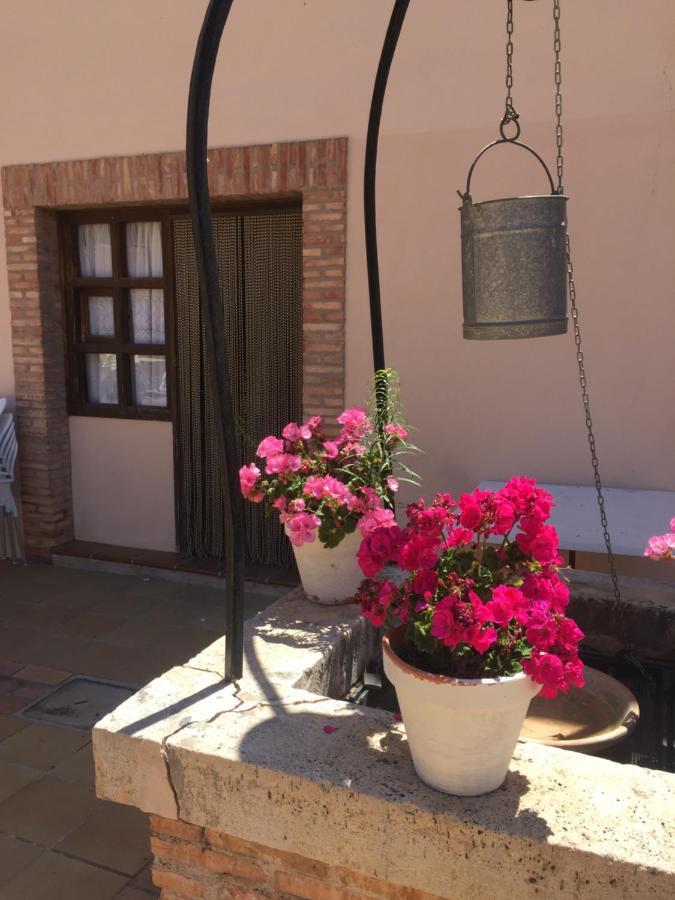 Castillo Con Piscina En Plena Sierra Calderona 塞古比 外观 照片