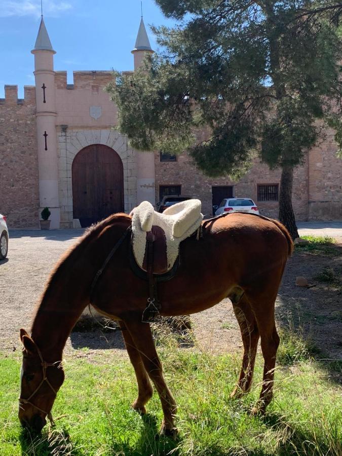 Castillo Con Piscina En Plena Sierra Calderona 塞古比 外观 照片