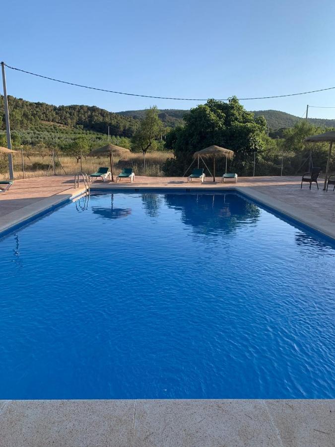 Castillo Con Piscina En Plena Sierra Calderona 塞古比 外观 照片